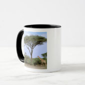 Afrika, Botswana, das Okavango-Delta. südlich Tasse (Vorderseite Links)