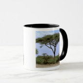 Afrika, Botswana, das Okavango-Delta. südlich Tasse (VorderseiteRechts)
