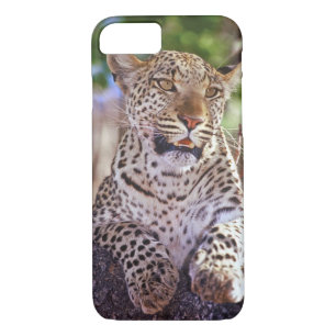Afrika, Botswana, das Okvango-Delta, Wildleopard.  Case-Mate iPhone Hülle