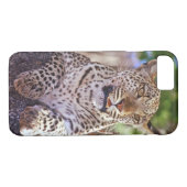 Afrika, Botswana, das Okvango-Delta, Wildleopard. Case-Mate iPhone Hülle (Rückseite (Horizontal))