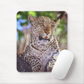 Afrika, Botswana, das Okvango-Delta, Wildleopard. Mousepad (Mit Mouse)