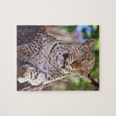 Afrika, Botswana, das Okvango-Delta, Wildleopard. Puzzle (Horizontal)