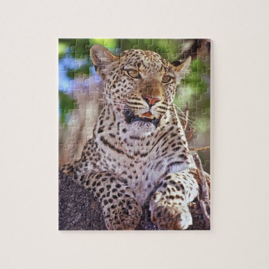 Afrika, Botswana, das Okvango-Delta, Wildleopard. Puzzle (Vertikal)