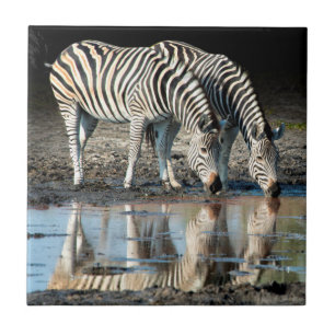 Afrika,Botswana, Okavango-Delta, Davison Camp Fliese