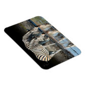 Afrika,Botswana, Okavango-Delta, Davison Camp Magnet (Rechte Seite)