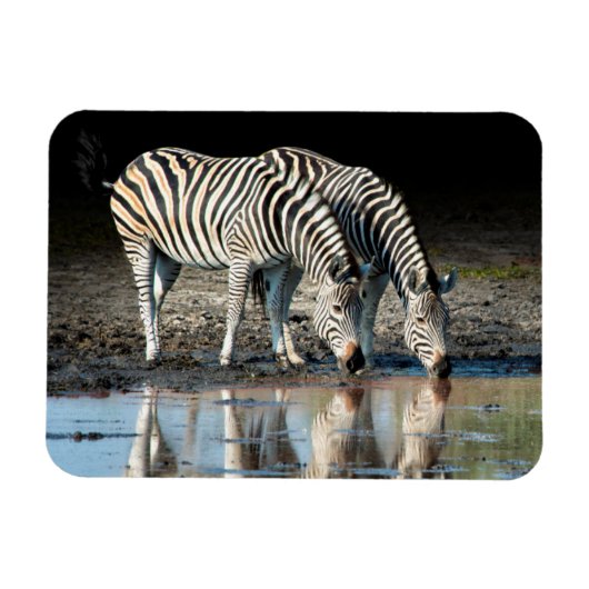 Afrika,Botswana, Okavango-Delta, Davison Camp Magnet (Horizontal)