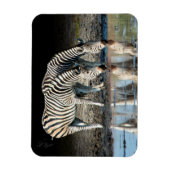 Afrika,Botswana, Okavango-Delta, Davison Camp Magnet (Vertikal)