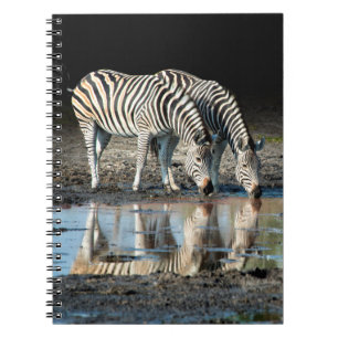Afrika,Botswana, Okavango-Delta, Davison Camp Notizblock