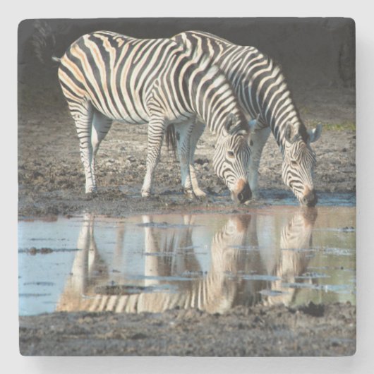 Afrika,Botswana, Okavango-Delta, Davison Camp Steinuntersetzer (Vorderseite)