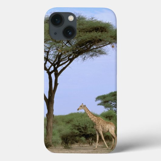 Afrika, Botswana, Okavango Dreieck. Südlich Case-Mate iPhone Hülle (Rückseite)