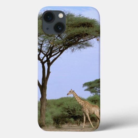 Afrika, Botswana, Okavango Dreieck. Südlich Case-Mate iPhone Hülle (Rückseite)