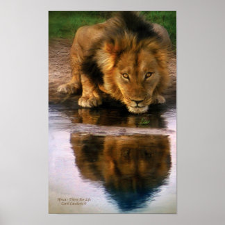 Afrika - Das Erste für Life Art Poster/Print Poster