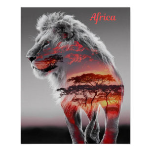 Afrika - Eine Illustration eines Löwen Poster
