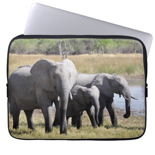 Afrika-Elefant-Herden Laptopschutzhülle (Vorderseite)
