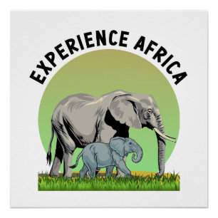 Afrika erleben poster
