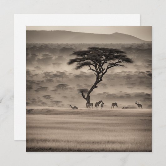 Afrika Feiertagskarte (Vorne/Hinten)