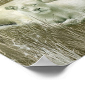 Afrika - Geist des White Lion Art Poster/Print Poster (Ecke)