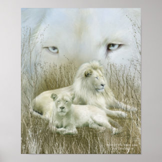 Afrika - Geist des White Lion Art Poster/Print Poster