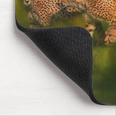Afrika - Gepard-Weltkunst Mousepad (Ecke)