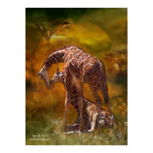Afrika - Giraffe World Art Poster/Print