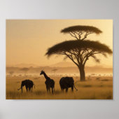 AFRIKA IN DER MIST POSTER (Vorne)