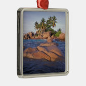Afrika, Indischer Ozean, Seychellen, Praslin Silbernes Ornament (Rechts)