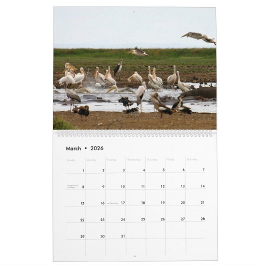 Afrika Kalender (Mär 2026)