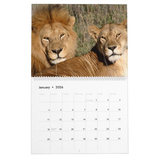 Afrika Kalender (Jan 2026)