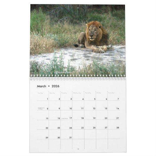 Afrika - Kalender 2025 (Mär 2026)