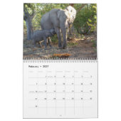 Afrika - Kalender 2025 (Feb 2027)