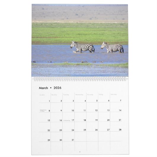 Afrika-Kalender Kalender (Mär 2026)