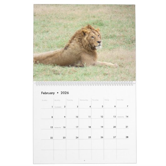 Afrika-Kalender Kalender (Feb 2026)