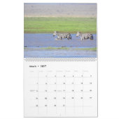 Afrika-Kalender Kalender (Mär 2027)