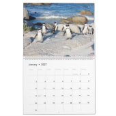 Afrika-Kalender Kalender (Jan 2027)