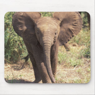 Afrika, Kenia, Amboseli-Nationalpark. Afrikanisch  Mousepad