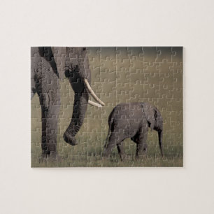 Afrika, Kenia, Amboseli-Nationalpark. Afrikanisch Puzzle