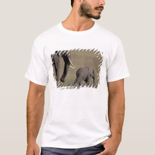 Afrika, Kenia, Amboseli-Nationalpark. Afrikanisch T-Shirt