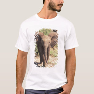 Afrika, Kenia, Amboseli-Nationalpark. Afrikanische T-Shirt