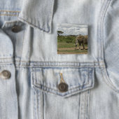 Afrika, Kenia, Amboseli-Nationalpark, Elefant, Button (Beispiel)