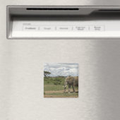 Afrika, Kenia, Amboseli-Nationalpark, Elefant, Magnet (In Situ (Geschirrspüler))