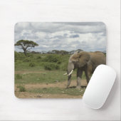 Afrika, Kenia, Amboseli-Nationalpark, Elefant, Mousepad (Mit Mouse)