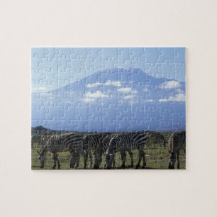 Afrika, Kenia, Amboseli-Nationalpark, Herde von Puzzle