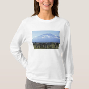 Afrika, Kenia, Amboseli-Nationalpark, Herde von T-Shirt