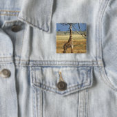 Afrika, Kenia, Amboseli NP Ein Gemein oder Masai, Button (Beispiel)