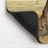 Afrika, Kenia, Amboseli NP Ein Gemein oder Masai, Mousepad (Ecke)