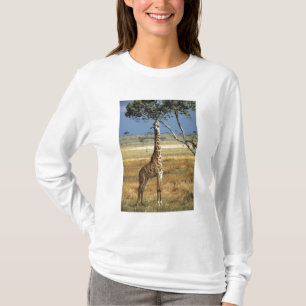 Afrika, Kenia, Amboseli NP. Ein gewöhnlicher oder T-Shirt