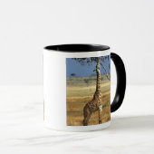 Afrika, Kenia, Amboseli NP. Ein gewöhnlicher oder Tasse (VorderseiteRechts)