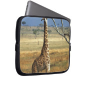 Afrika, Kenia, Amboseli-NP. Eine gemeine oder Mass Laptopschutzhülle (Vorne Rechts)