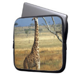 Afrika, Kenia, Amboseli-NP. Eine gemeine oder Mass Laptopschutzhülle (Vorderseite Links)
