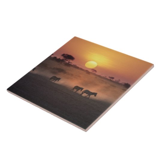 Afrika, Kenia, Amboseli NP Zebra zu Fuß Fliese (Seite)